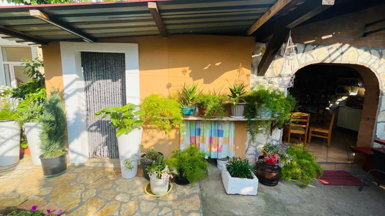 Colorful And Happy Apartment Sukosan - With Parking المظهر الخارجي الصورة