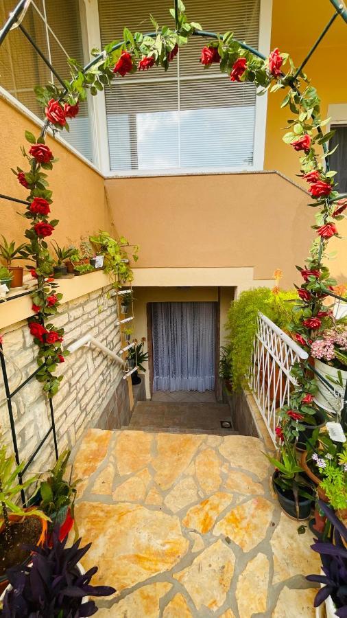 Colorful And Happy Apartment Sukosan - With Parking المظهر الخارجي الصورة